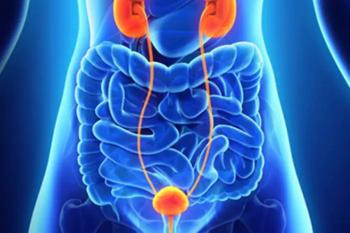 Uro-Oncology