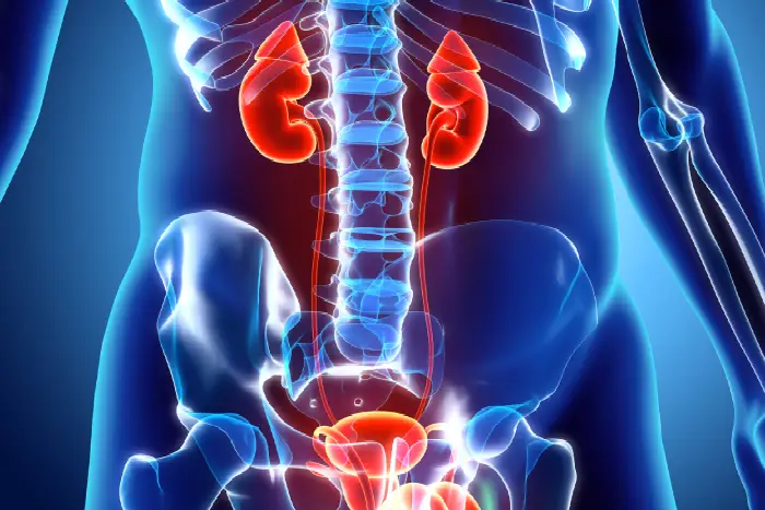 urology